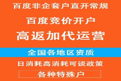 成功案例：网络推广与竞价广告的完美结合